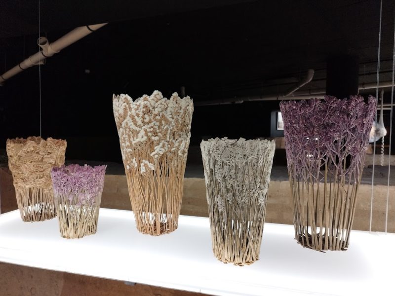 les vases en fleurs de Shannon Clegg.